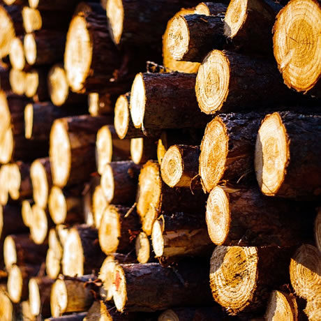 Hybrid Pallets